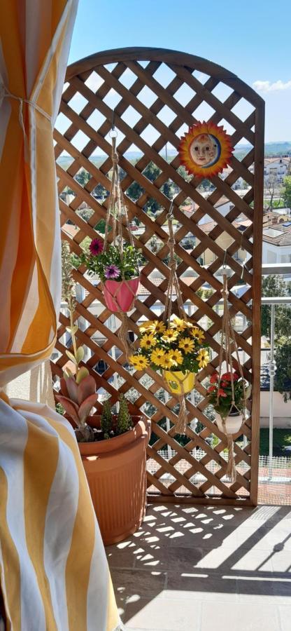 Panorama House Bed & Breakfast Chiaravalle Exterior photo